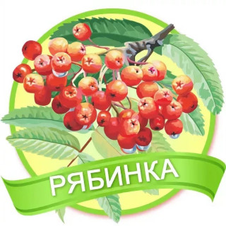 МУНИЦИПАЛЬНОЕ ДОШКОЛЬНОЕ ОБРАЗОВАТЕЛЬНОЕ УЧРЕЖДЕНИЕ "ДЕТСКИЙ САД "РЯБИНКА" ГОРОДА БАЛАШОВА САРАТОВСКОЙ ОБЛАСТИ"